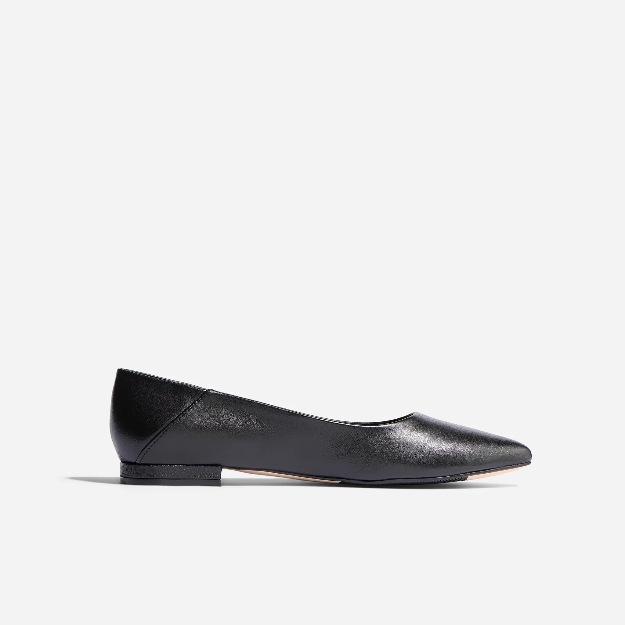 Fina Pointed Toe Flat Black -NISOLO