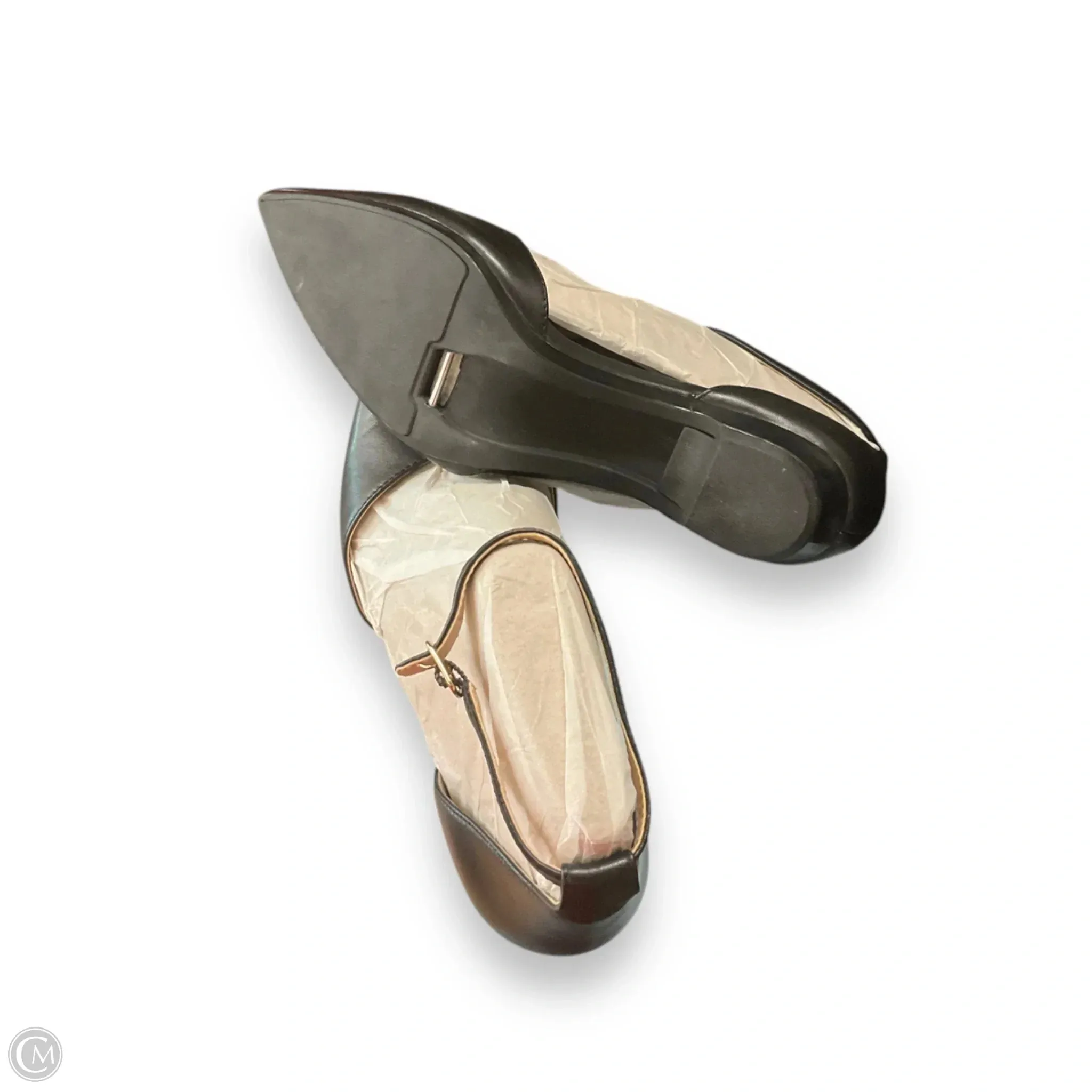 Sandals Flats By Pashion In Black, Size: 7