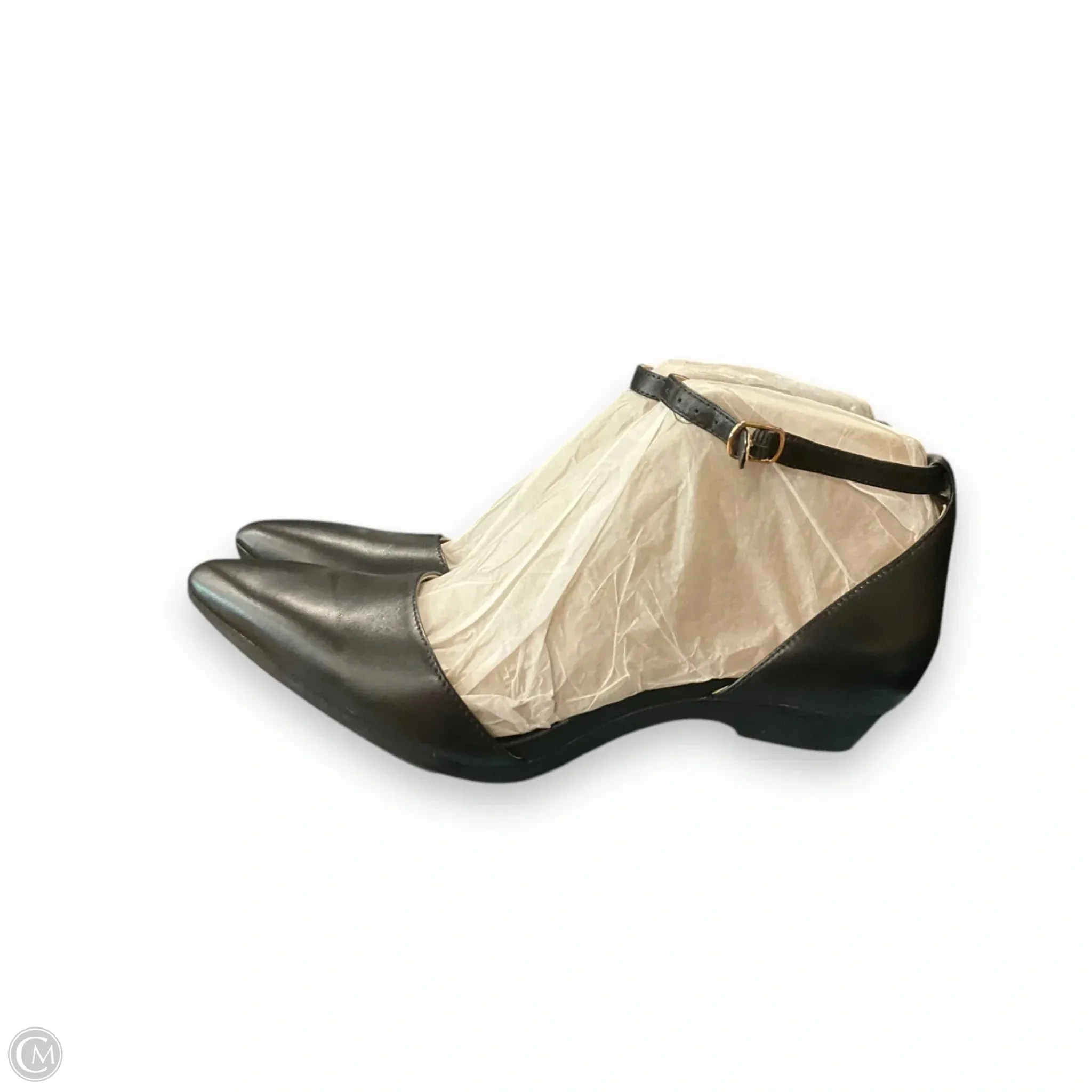 Sandals Flats By Pashion In Black, Size: 7