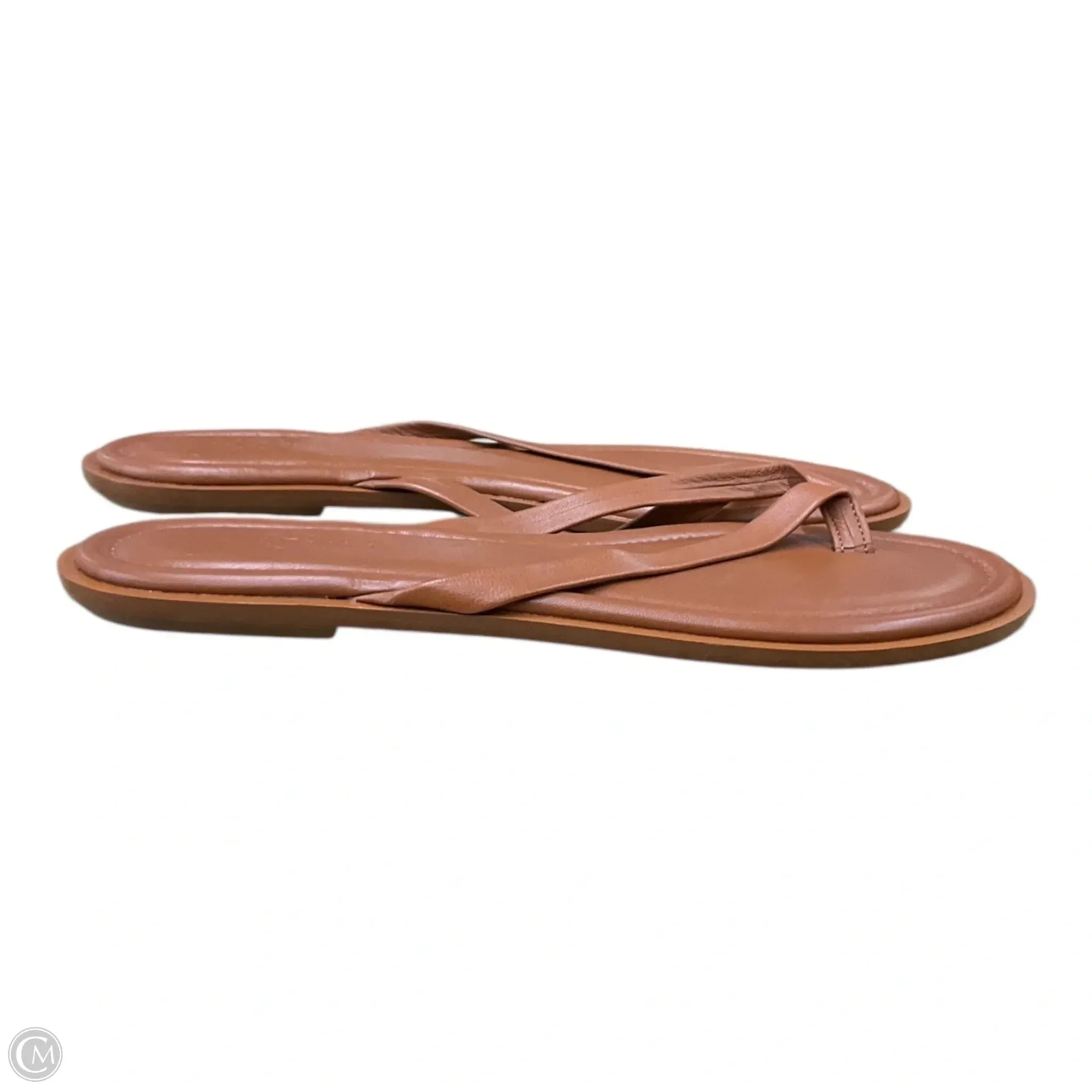 Sandals Flip Flops By J. Crew In Brown, Size: 9.5